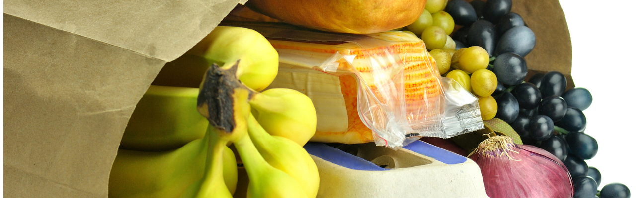 bag full of eggs, bread, onion, bananas, cheese and grapes